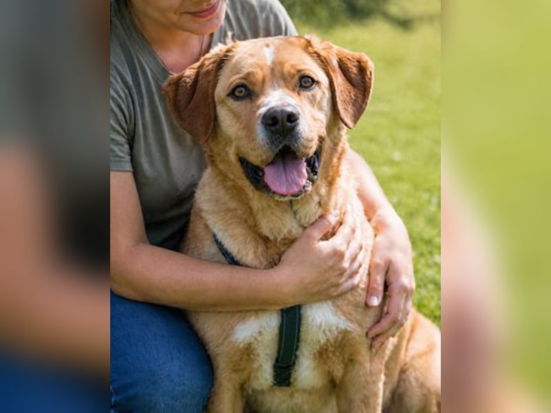 Valentim - ein Powerpaket