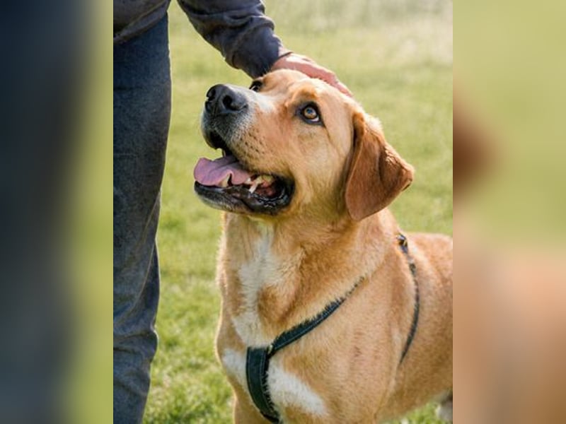 Valentim - ein Powerpaket