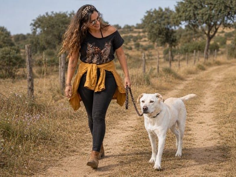 Lucas - ein aktiver Begleiter