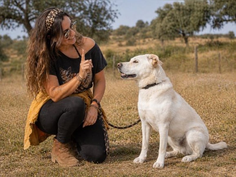 Lucas - ein aktiver Begleiter