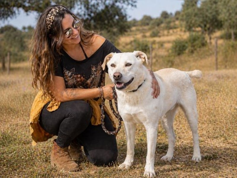 Lucas - ein aktiver Begleiter