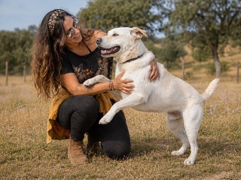 Lucas - ein aktiver Begleiter