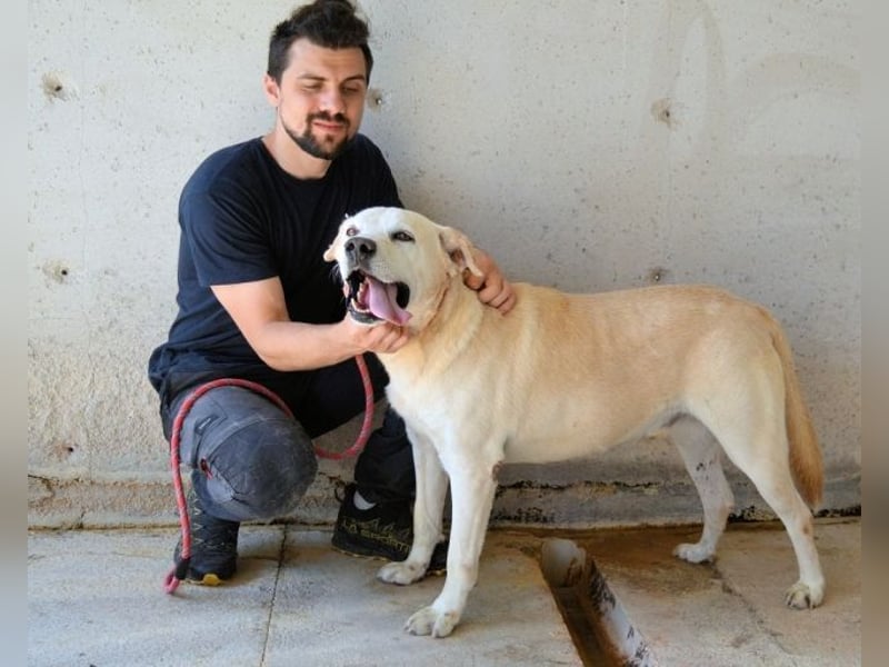 Daffyd - Zwei Seelen. Zwei Geschichten. Ein Ziel.