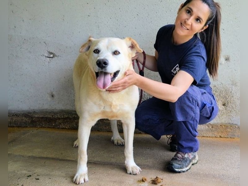 Daffyd - Zwei Seelen. Zwei Geschichten. Ein Ziel.