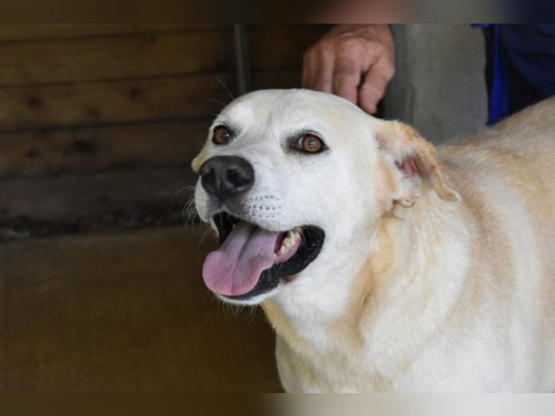 Daffyd - Zwei Seelen. Zwei Geschichten. Ein Ziel.