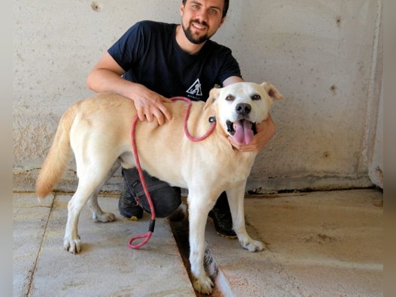 Daffyd - Zwei Seelen. Zwei Geschichten. Ein Ziel.