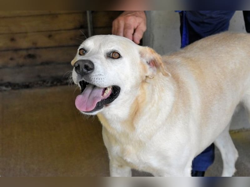 Daffyd - Zwei Seelen. Zwei Geschichten. Ein Ziel.