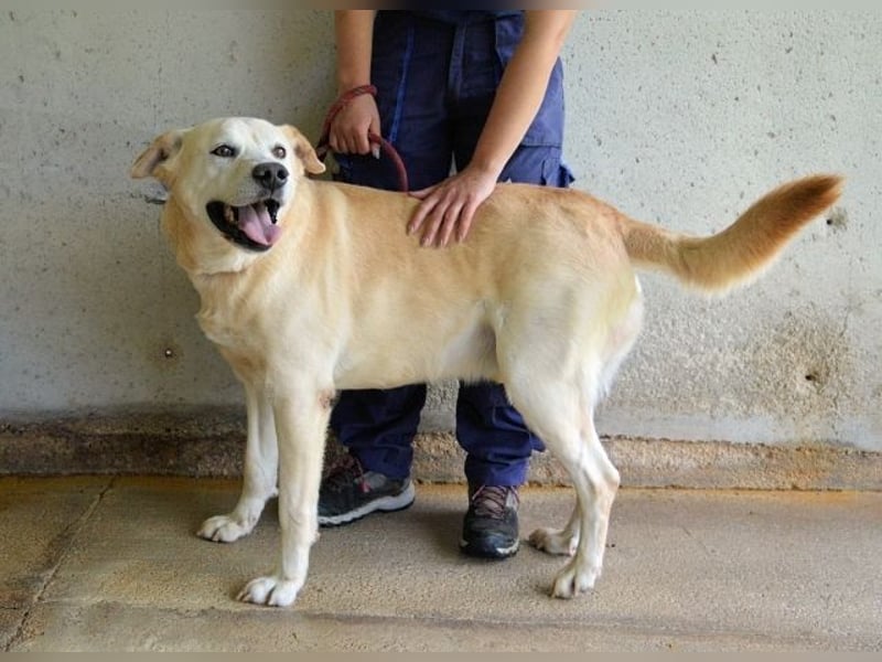 Daffyd - Zwei Seelen. Zwei Geschichten. Ein Ziel.