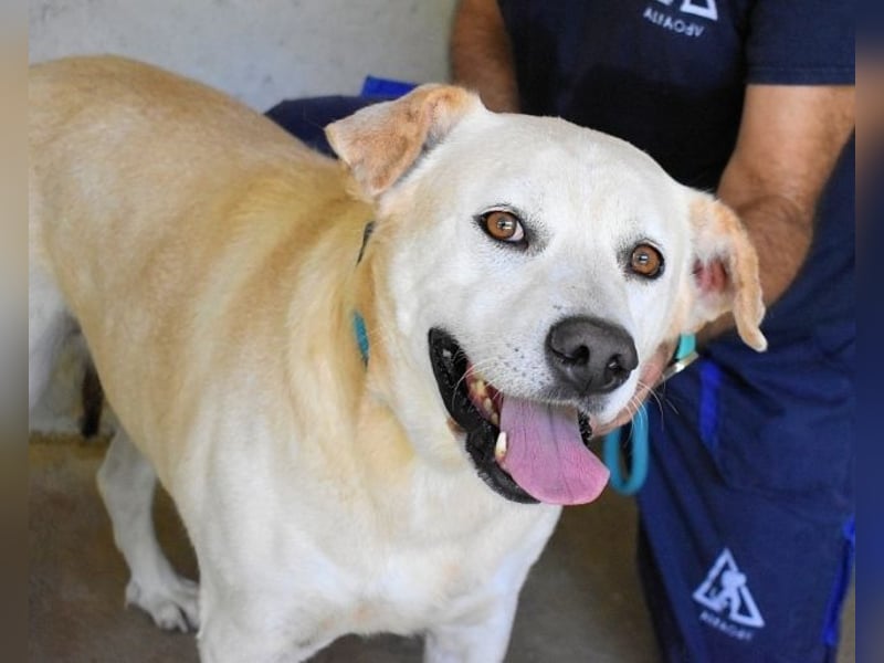 Daffyd - Zwei Seelen. Zwei Geschichten. Ein Ziel.