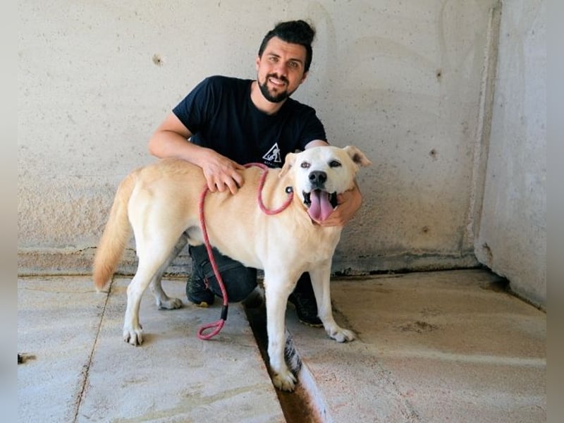 Daffyd - Zwei Seelen. Zwei Geschichten. Ein Ziel.