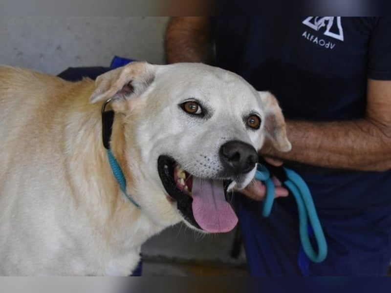 Daffyd - Zwei Seelen. Zwei Geschichten. Ein Ziel.