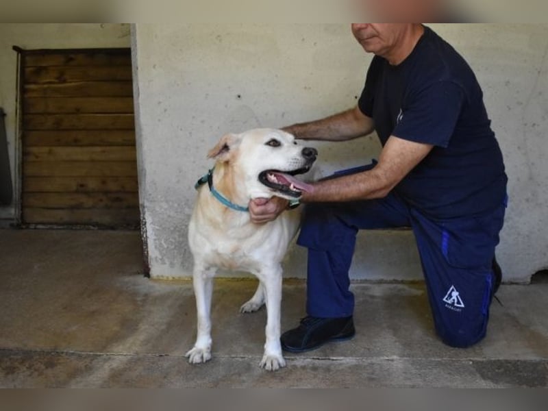 Daffyd - Zwei Seelen. Zwei Geschichten. Ein Ziel.