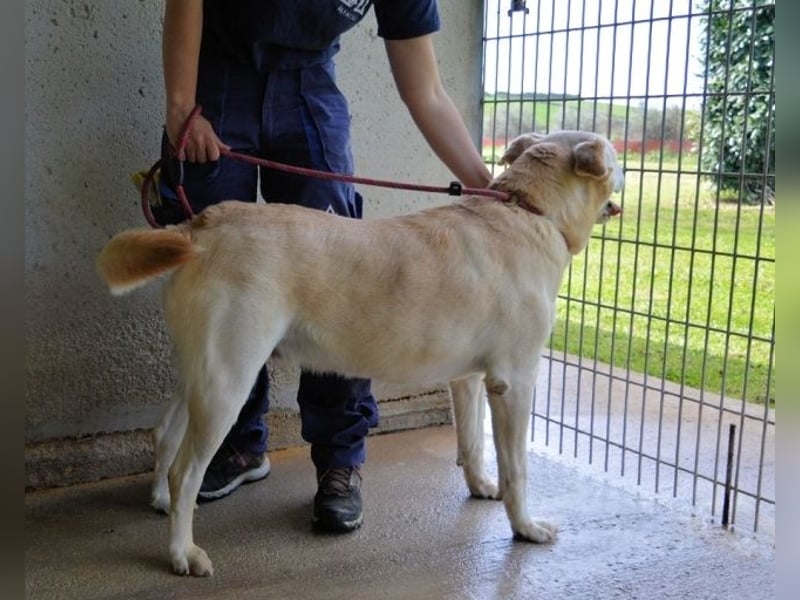 Daffyd - Zwei Seelen. Zwei Geschichten. Ein Ziel.