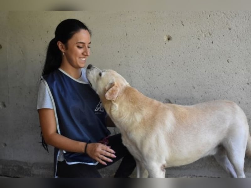 Daffyd - Zwei Seelen. Zwei Geschichten. Ein Ziel.