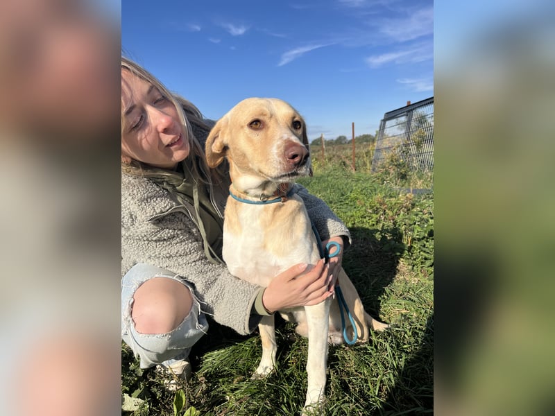 Joska braucht ein Zuhause