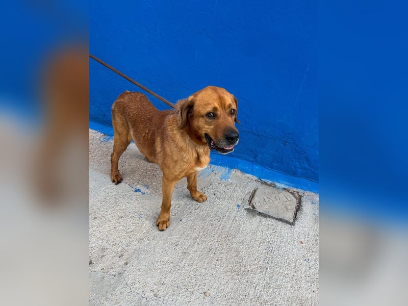 Tommy, hatte noch nie eine Anfrage