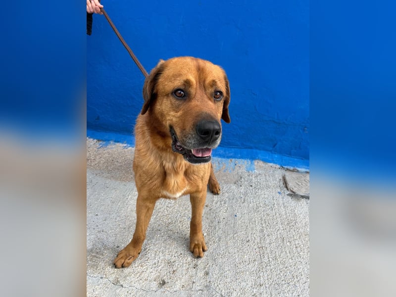 Tommy, hatte noch nie eine Anfrage