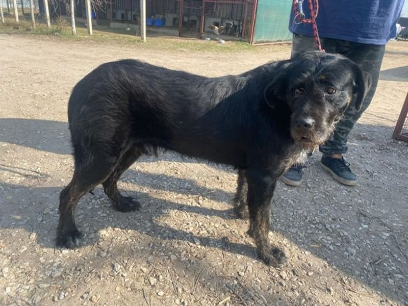 Helmut KK – wünscht sich eine liebe Familie