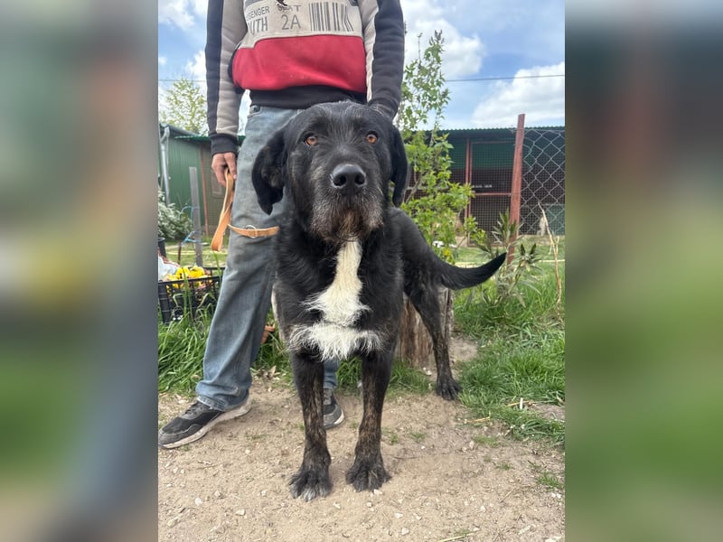 Helmut KK – wünscht sich eine liebe Familie