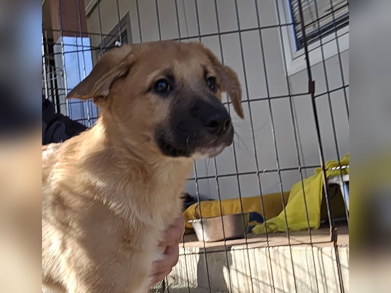 Egidio: Lausbub zum Verlieben