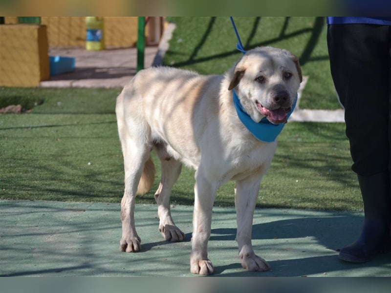 Till - sanft und sehr menschenbezogen