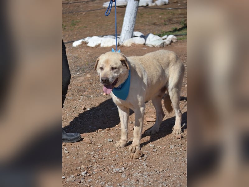 Till - sanft und sehr menschenbezogen