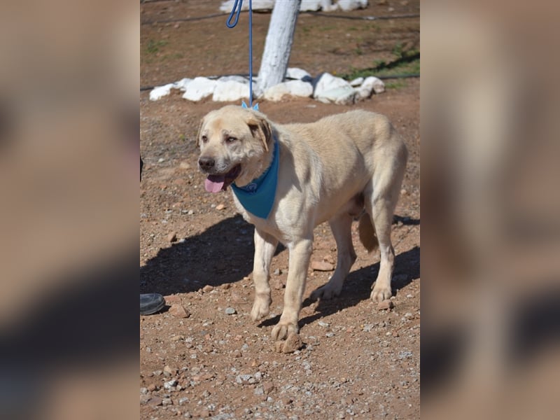 Till - sanft und sehr menschenbezogen