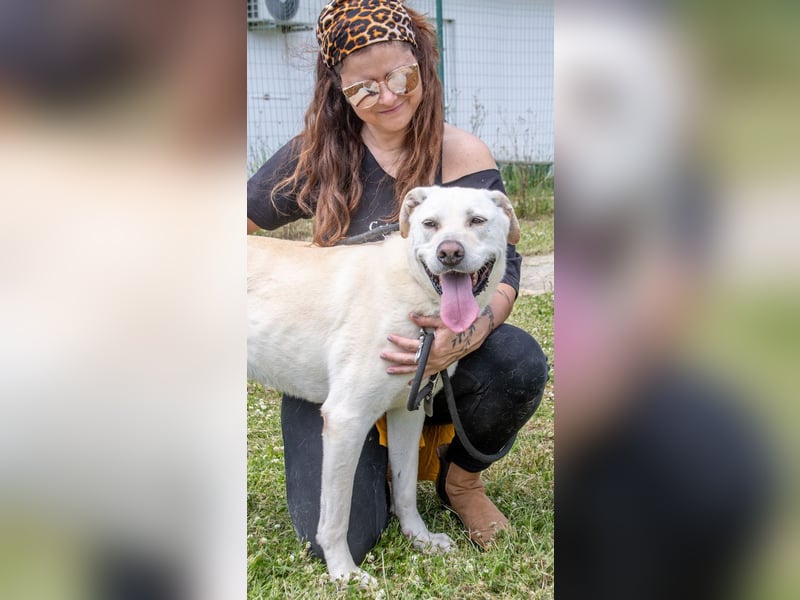 Lucas - ein aktiver Begleiter