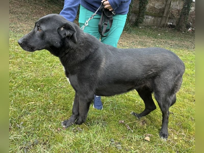 Sjena ein kräftiges Mädchen