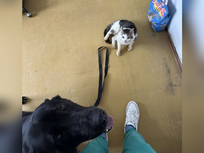 Sjena ein kräftiges Mädchen