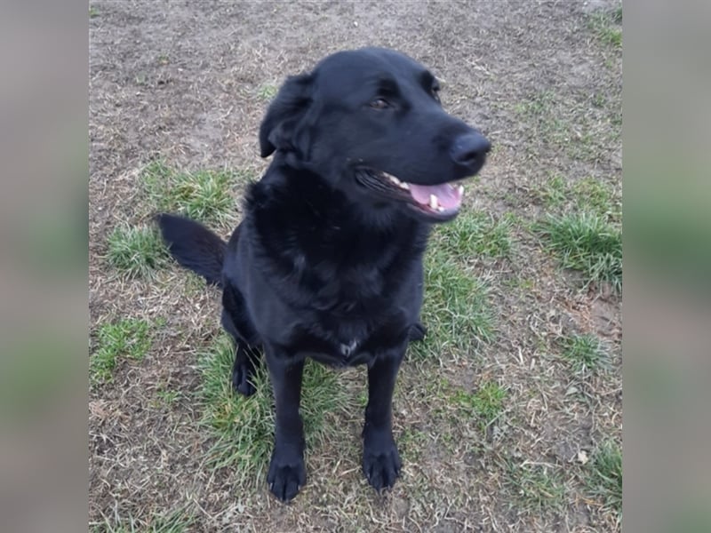 Neron eine Knutschkugel