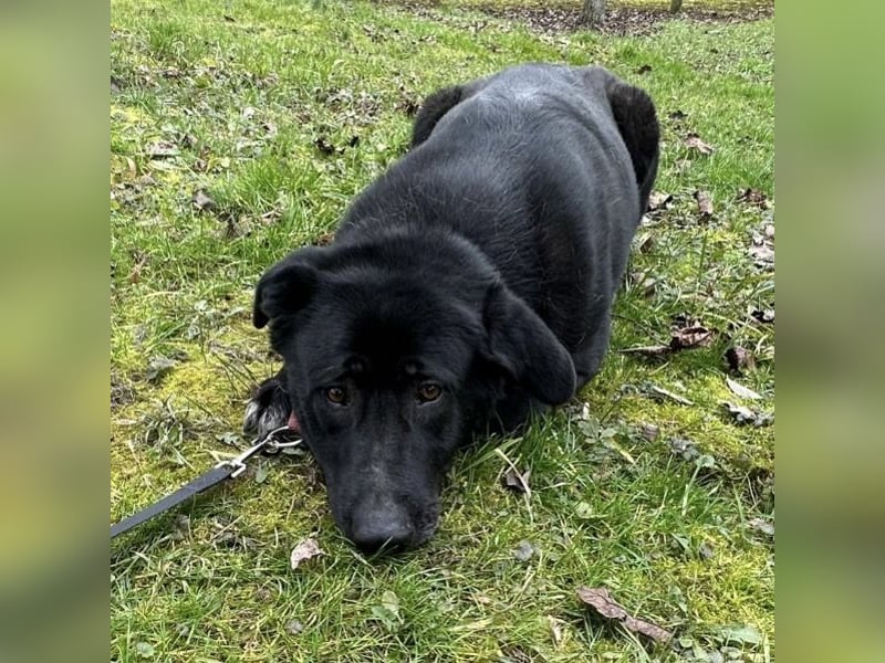 Sjena ein kräftiges Mädchen