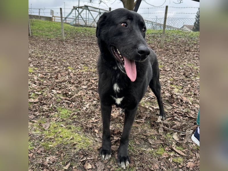 Sjena ein kräftiges Mädchen