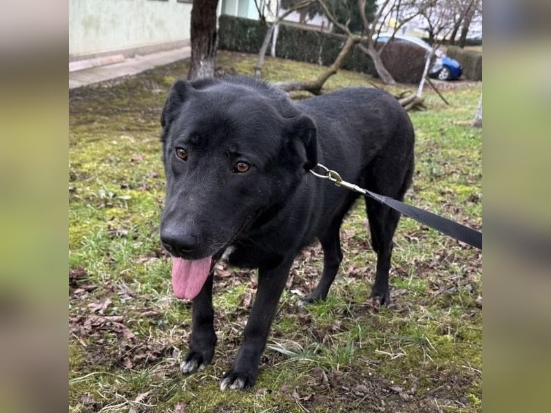 Sjena ein kräftiges Mädchen