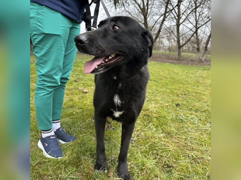 Sjena ein kräftiges Mädchen