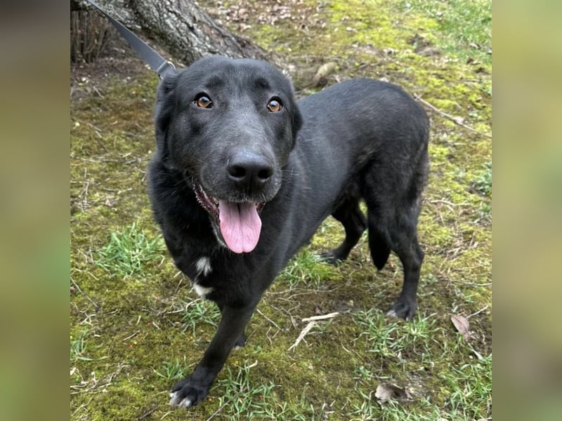 Sjena ein kräftiges Mädchen