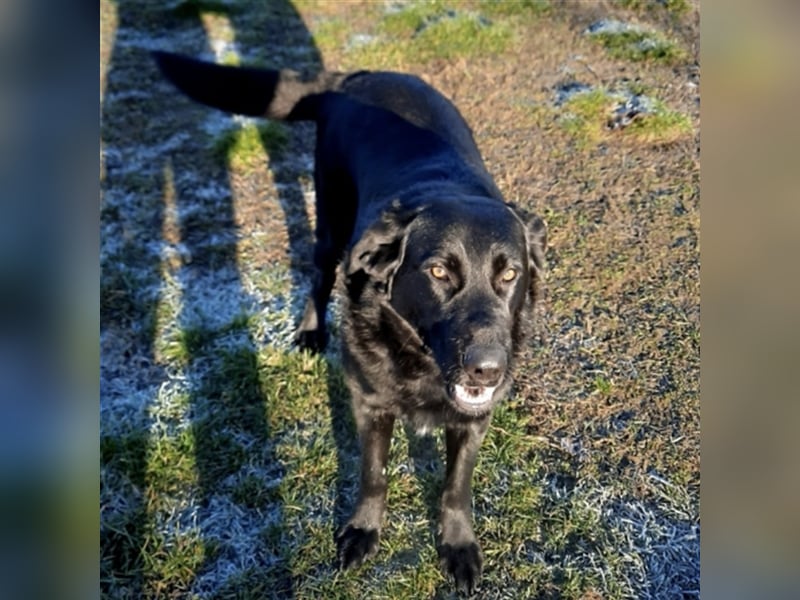 Neron eine Knutschkugel