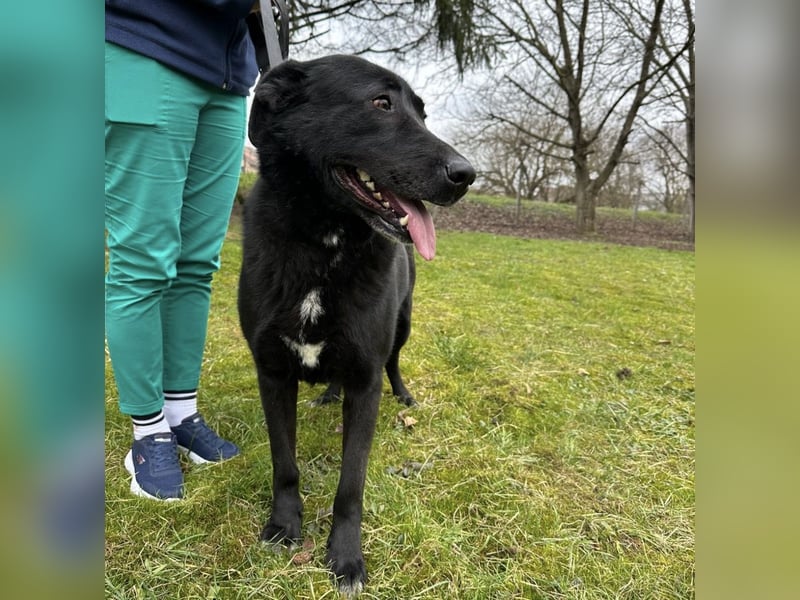 Sjena ein kräftiges Mädchen