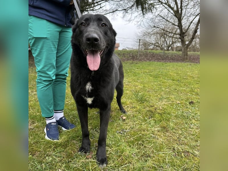 Sjena ein kräftiges Mädchen