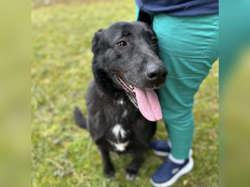 Sjena ein kräftiges Mädchen