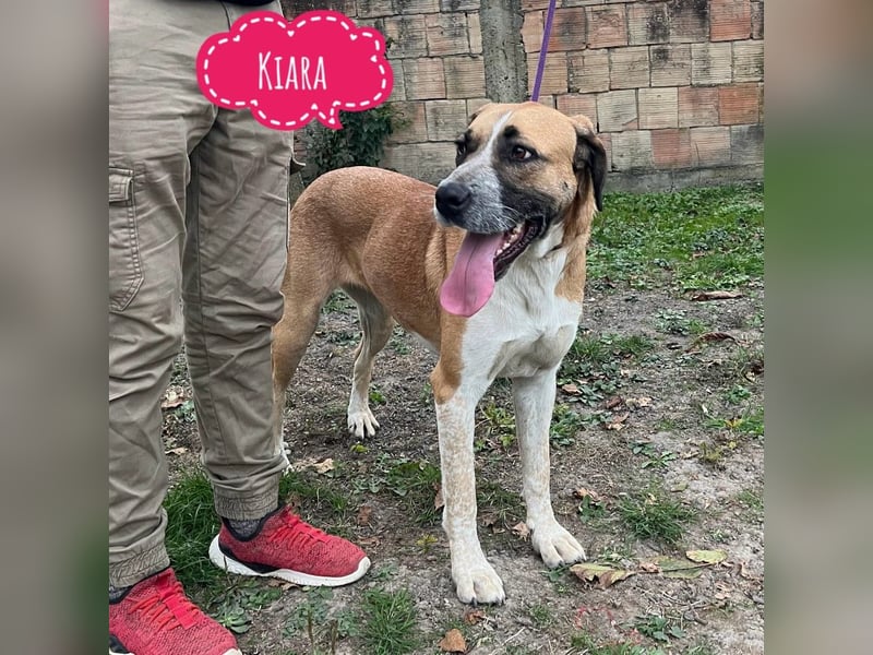 Kiara eine wundervolle