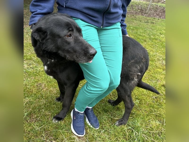 Sjena ein kräftiges Mädchen