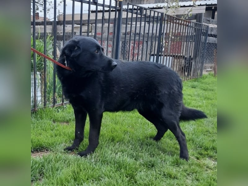 Neron eine Knutschkugel