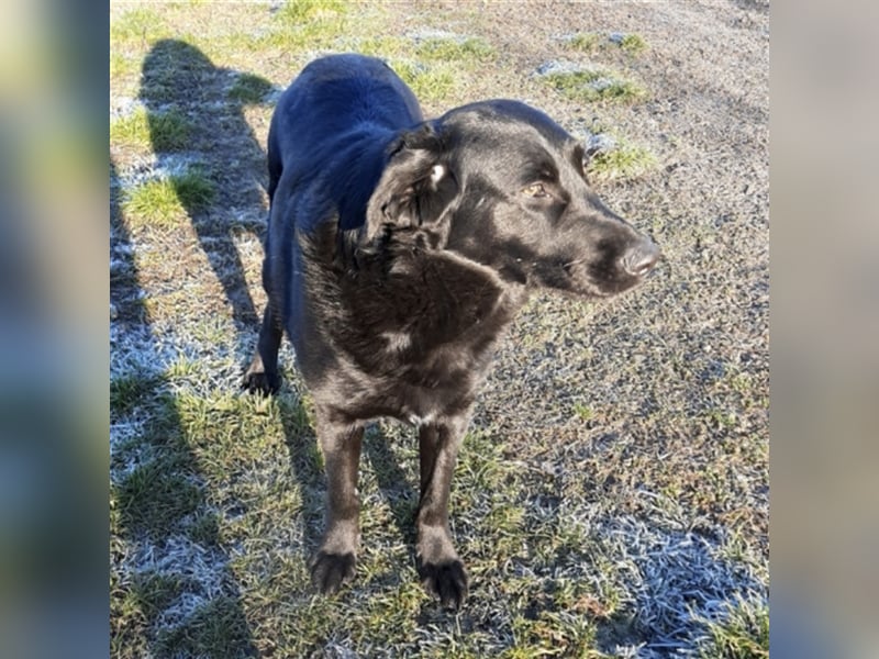 Neron eine Knutschkugel