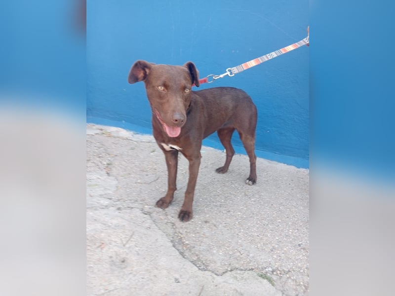 Roma, lieb und ein wenig schüchtern
