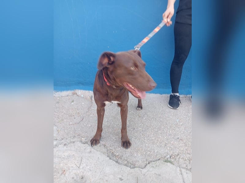 Roma, lieb und ein wenig schüchtern