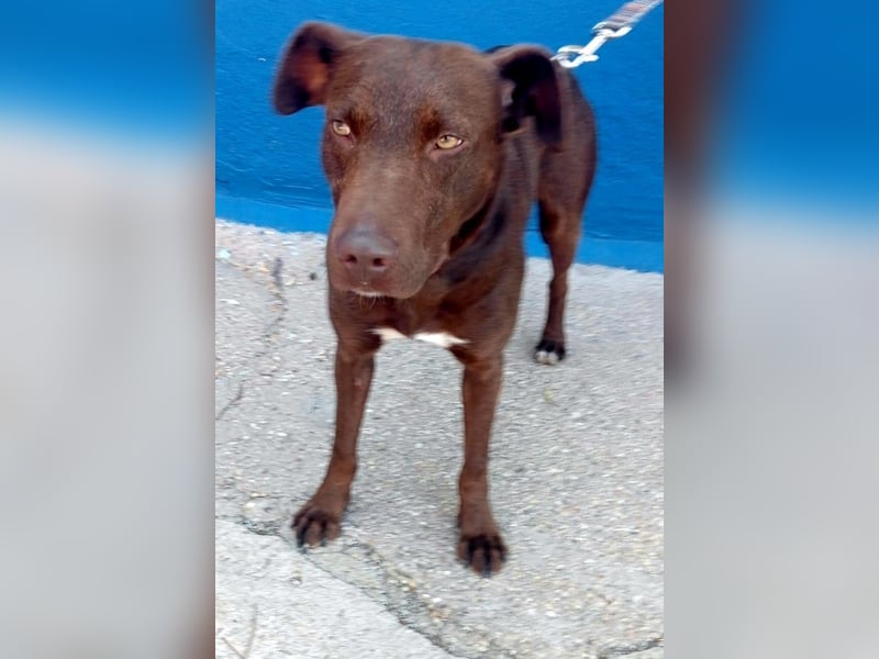 Roma, lieb und ein wenig schüchtern