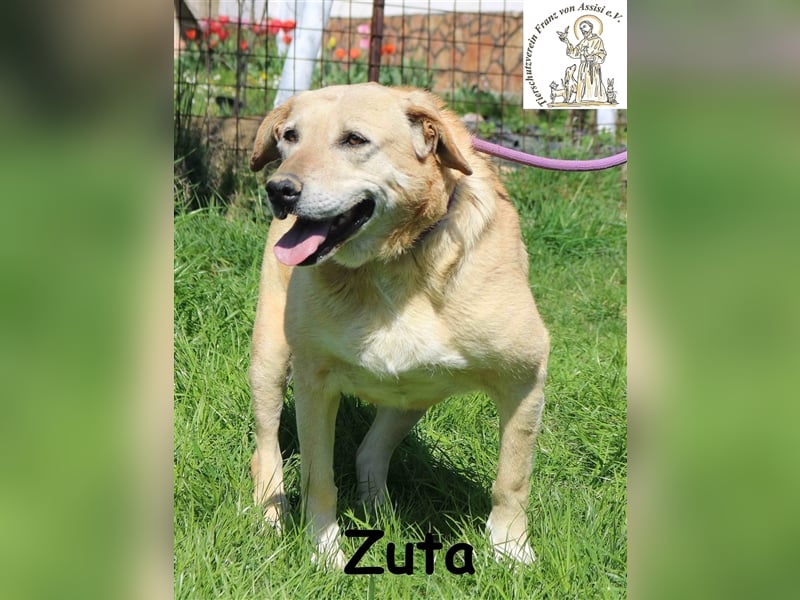 Zuta ist einsam