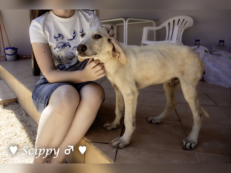 Marla, Scippy und Kea auf der Suche nach ihrer Familie