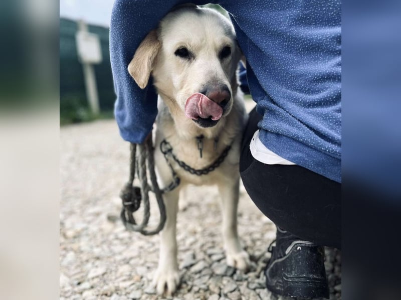 Bella möchte eine Familie